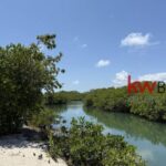 listing image thumbnail with ID 72299