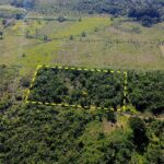 listing image thumbnail with ID 72734