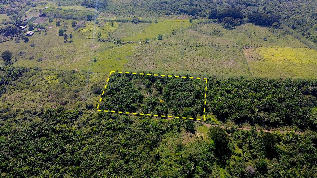 listing image with ID 72734