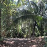 listing image thumbnail with ID 72756