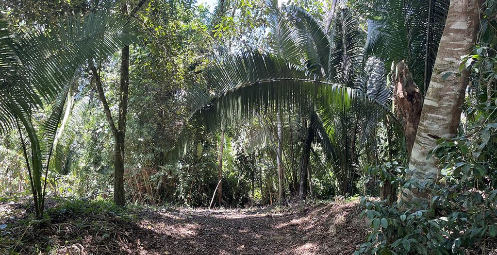 listing image with ID 72756