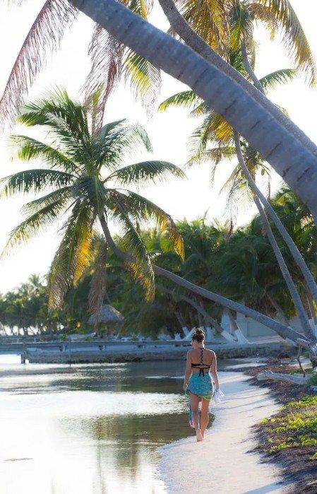 listing image with ID 72531