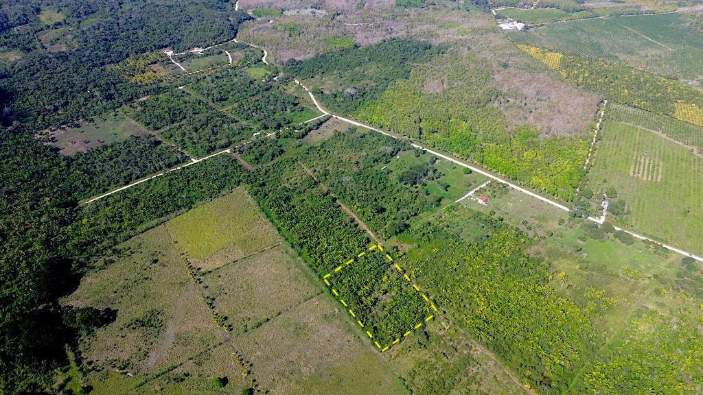 listing image with ID 72733