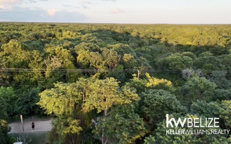 listing image with ID 71589