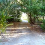 listing image thumbnail with ID 71227