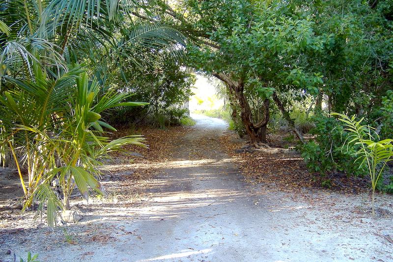 listing image with ID 71227