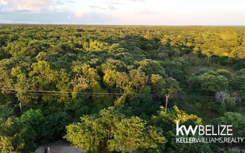 listing image with ID 71595