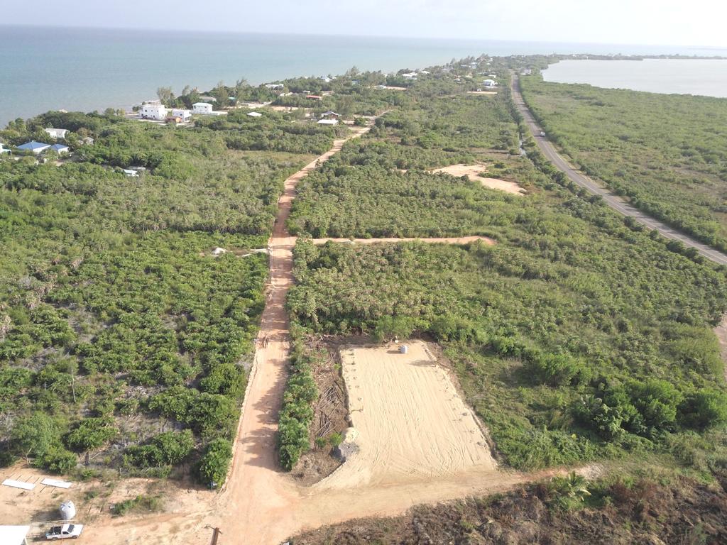 listing image with ID 71439