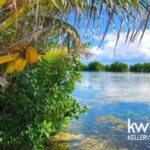 listing image thumbnail with ID 71023