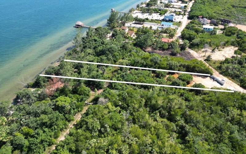 listing image with ID 71246