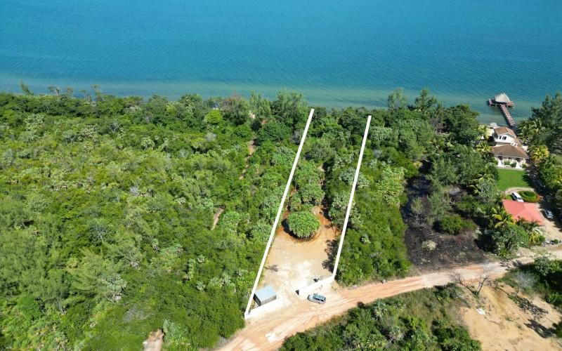 listing image with ID 71242