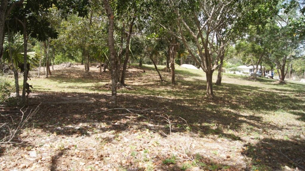 listing image with ID 71400