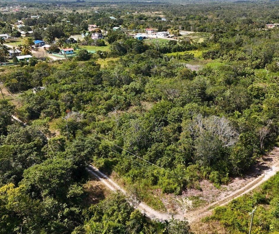 listing image with ID 71259