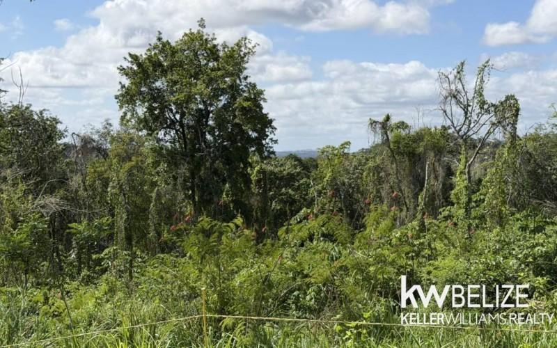 listing image with ID 71642