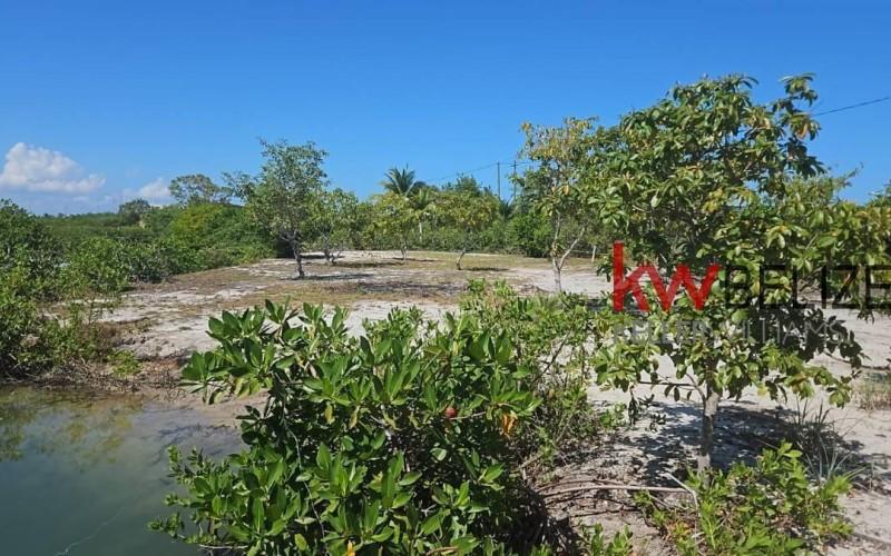 listing image with ID 72287