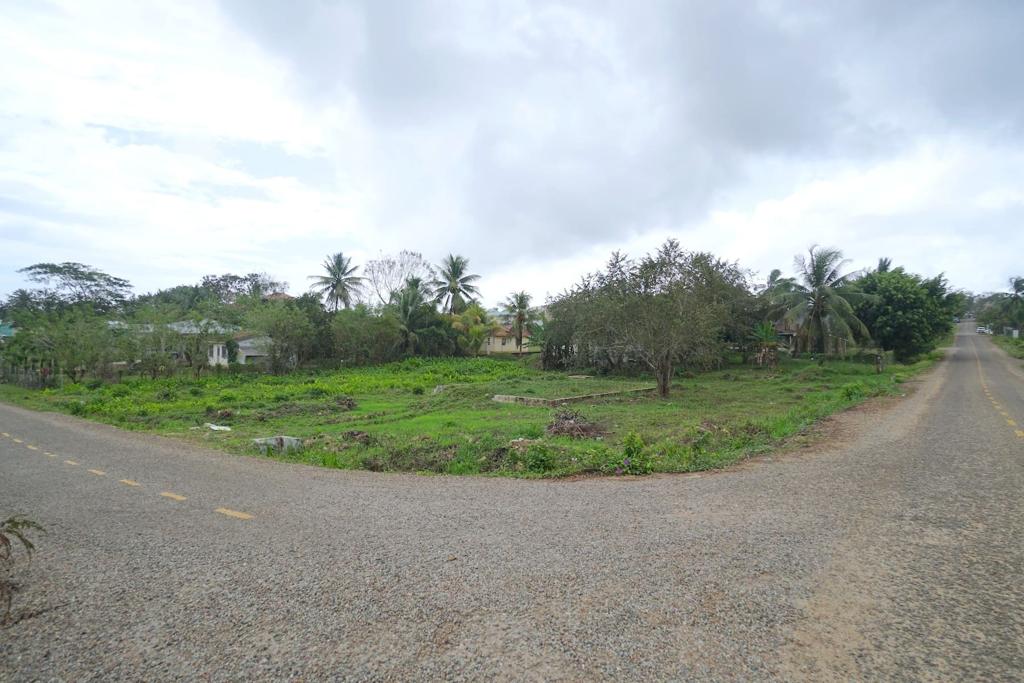 listing image with ID 72241