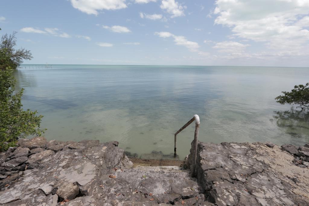 listing image with ID 72509