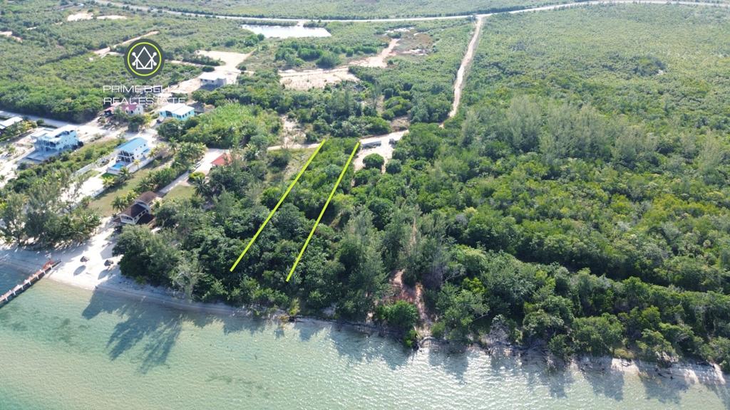 listing image with ID 71230