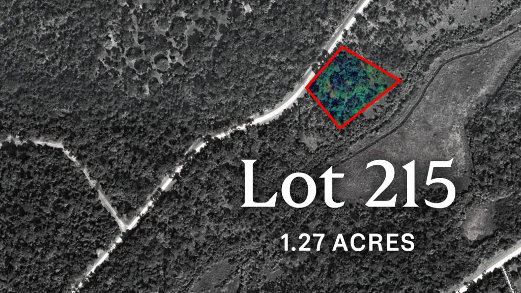 listing image with ID 72164