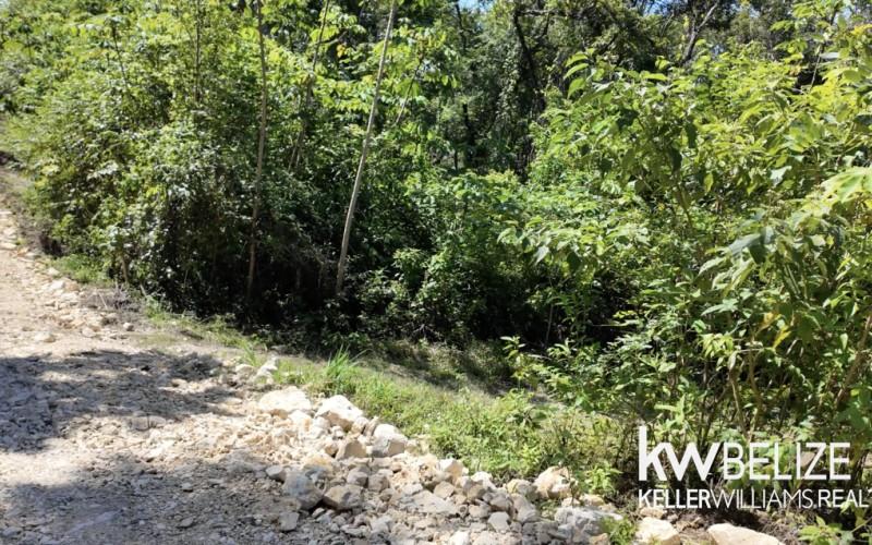 listing image with ID 71641