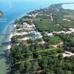 listing image thumbnail with ID 71234