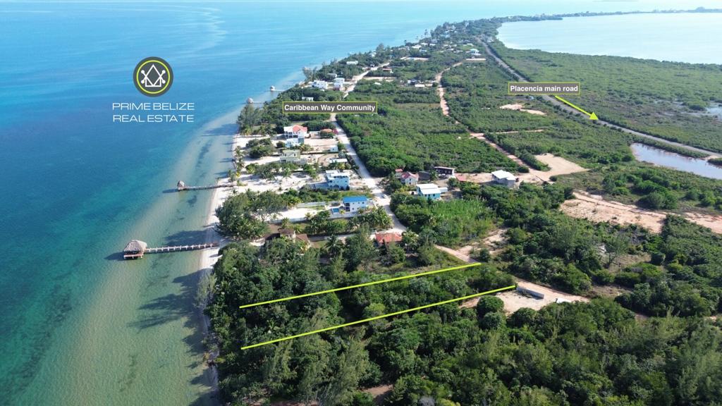 listing image with ID 71234