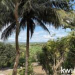 listing image thumbnail with ID 72011