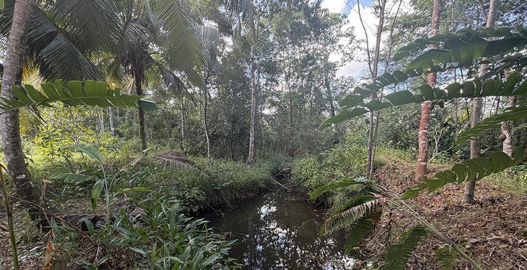 listing image with ID 72748