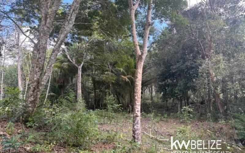 listing image with ID 71785