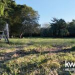 listing image thumbnail with ID 72112