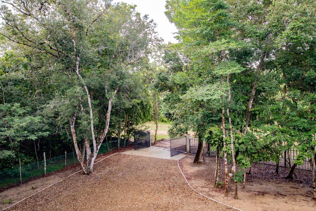 listing image with ID 72774