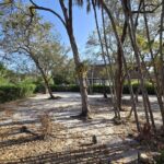 listing image thumbnail with ID 72089