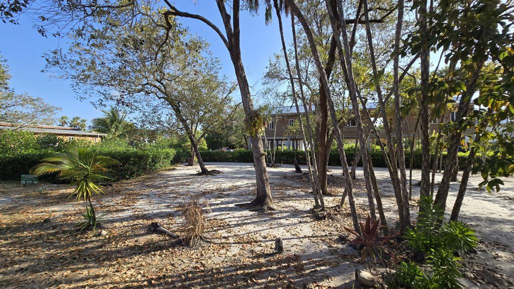 listing image with ID 72089