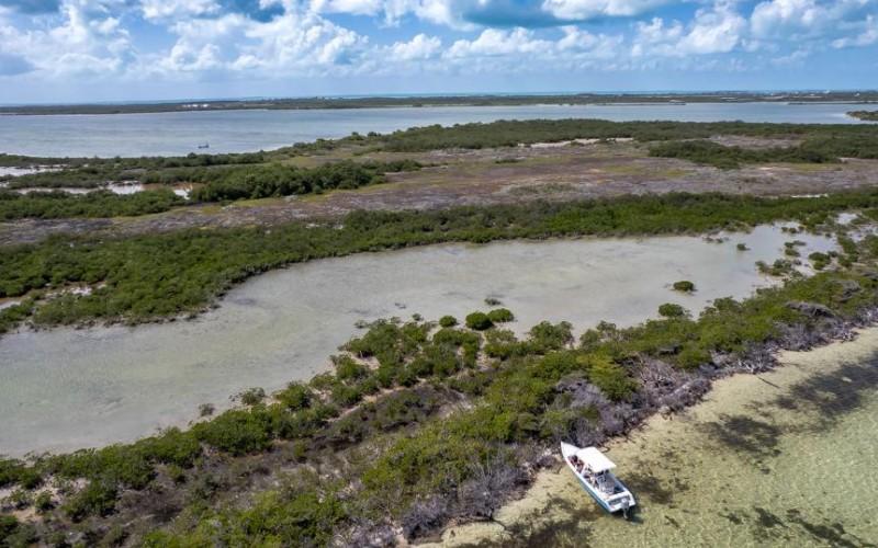 listing image with ID 72174