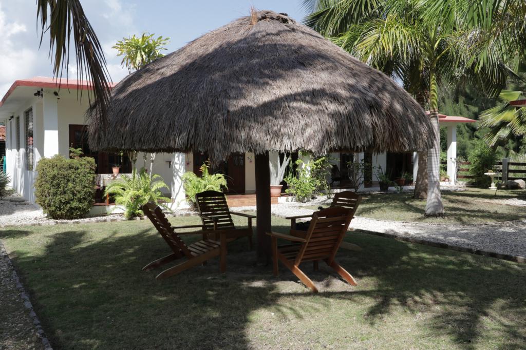 listing image with ID 71839