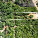 listing image thumbnail with ID 71248