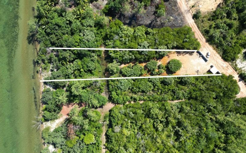 listing image with ID 71248