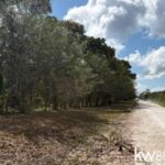 listing image thumbnail with ID 71780