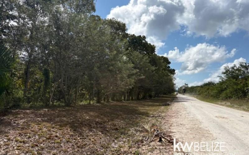 listing image with ID 71780