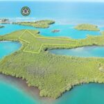 listing image thumbnail with ID 71685