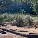 listing image thumbnail with ID 71249