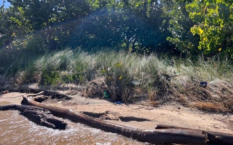 listing image with ID 71249