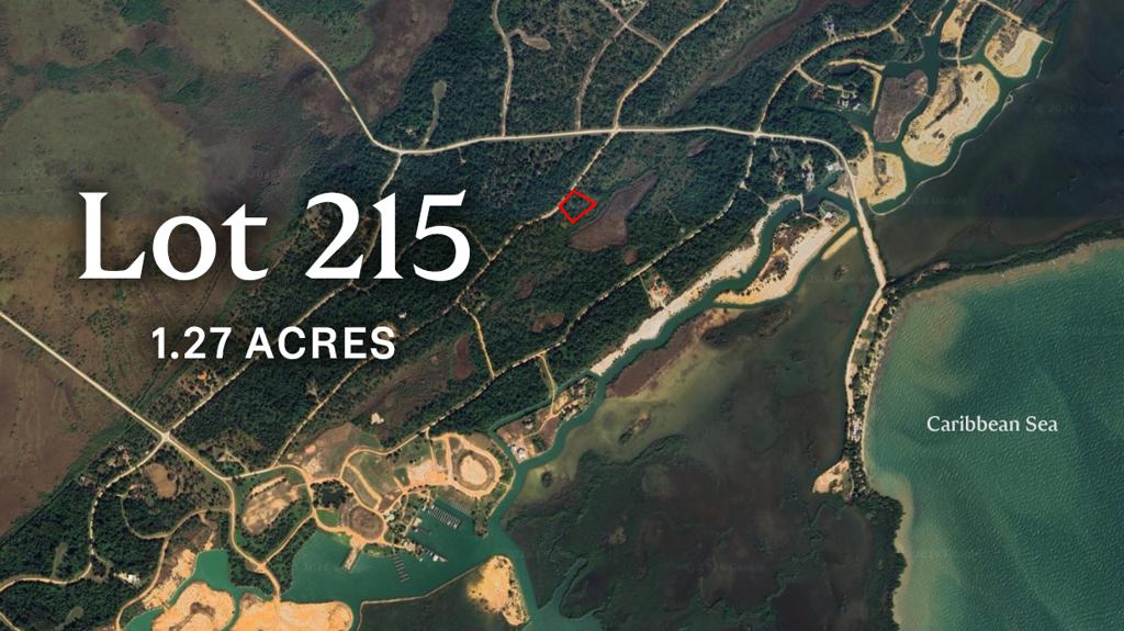 listing image with ID 72170