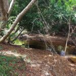 listing image thumbnail with ID 72751