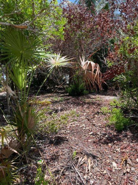 listing image with ID 73031