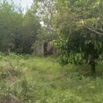 listing image thumbnail with ID 73337