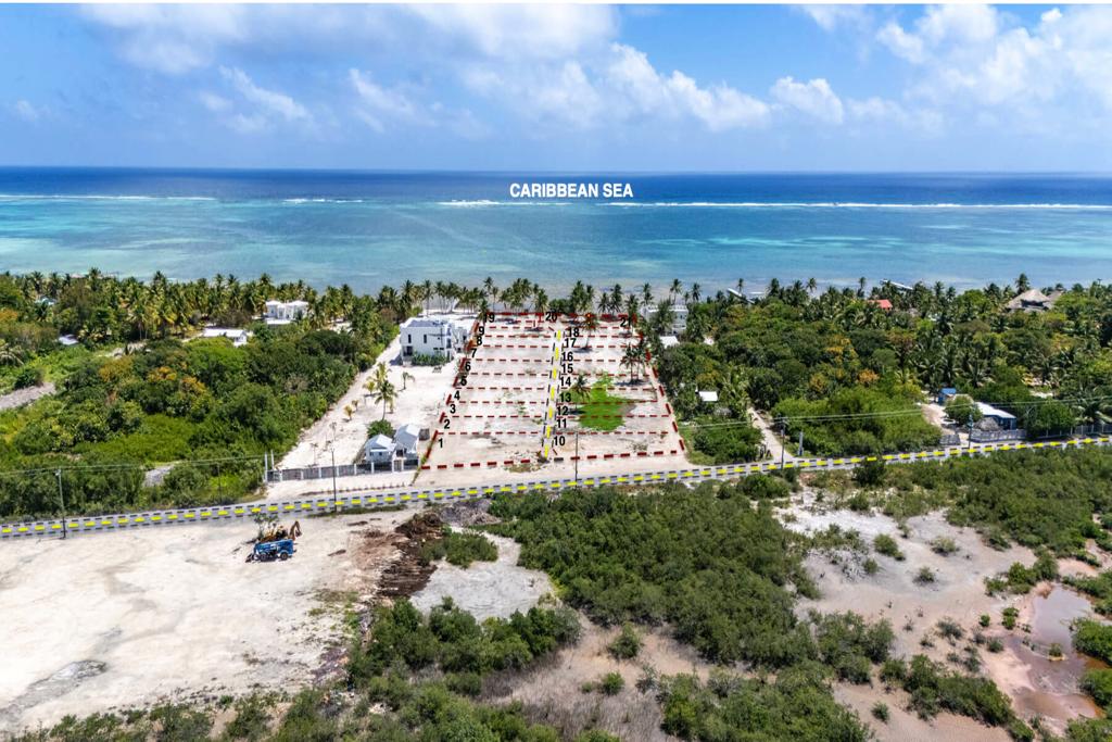 listing image with ID 73667