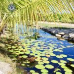 listing image thumbnail with ID 73984