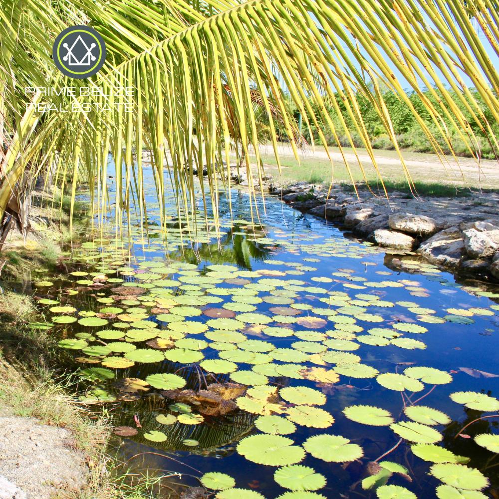 listing image with ID 73984