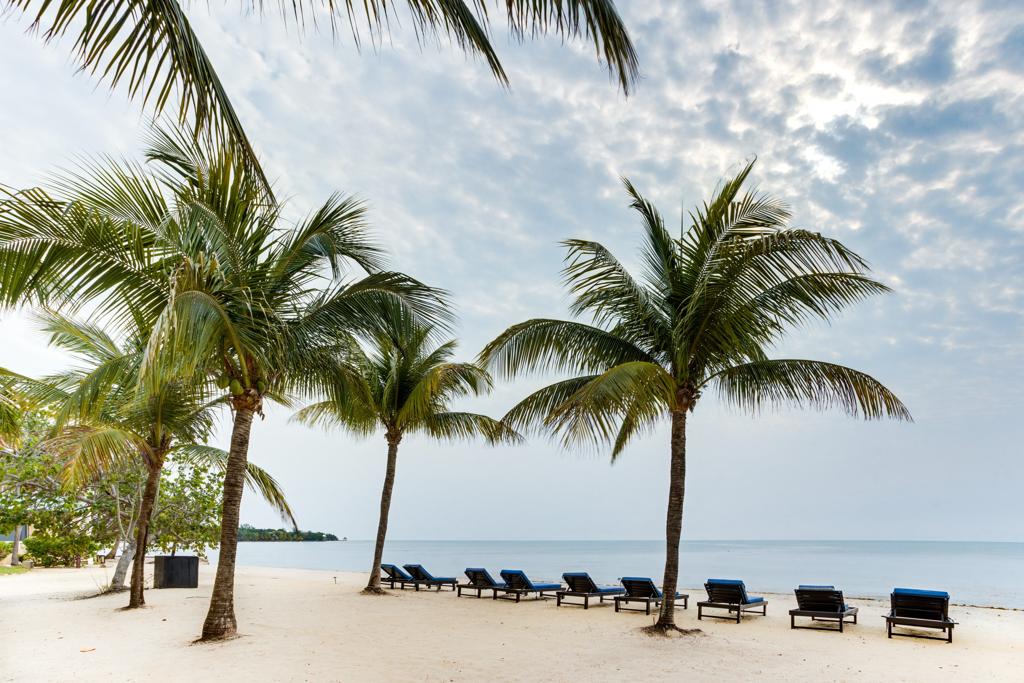 listing image with ID 73503